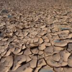 Sample Post in While Reading